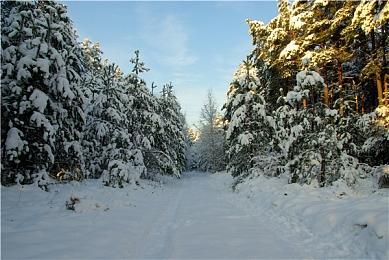 众筹7年 《军团1944》为支持者提供全额退款
